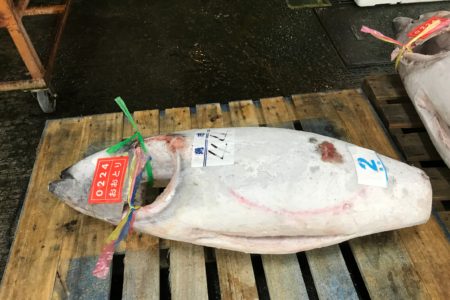 逆風か、追い風か