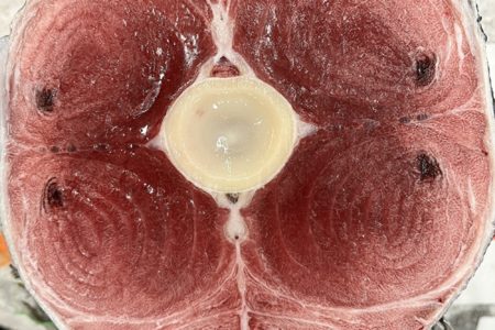 メバチの極上品