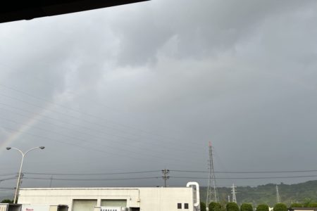 マグロの価格高騰の影響