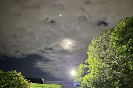 用途別マグロの加工形態