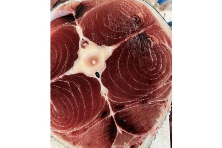 天然物ならではの難しさ