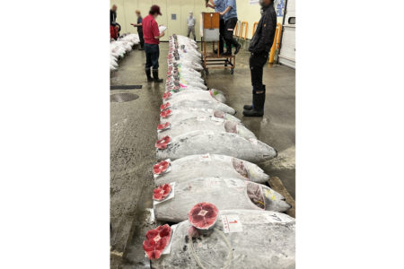 ネット通販の難しさ