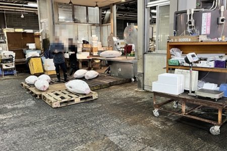 冷凍マグロの市場流通のしくみ