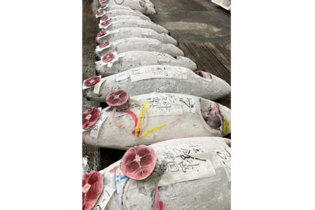 競りの勝敗はジャンケン？