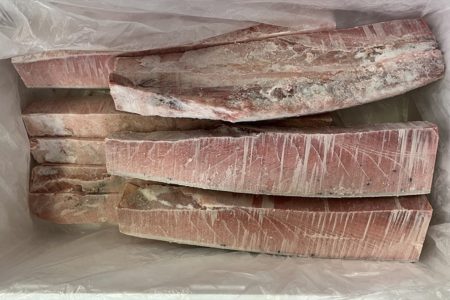 天然南鮪の腹とろ