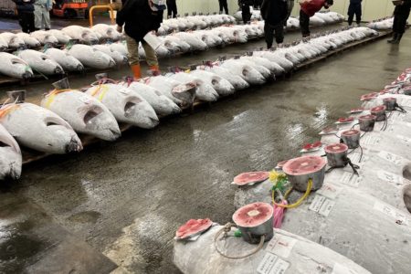 嵐の前の静けさ