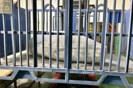 巨大な天然本鮪とタイムセールの嵐