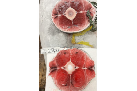 冷凍マグロの通販