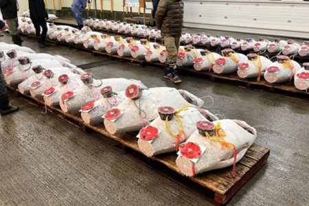 相場の二極化が進む