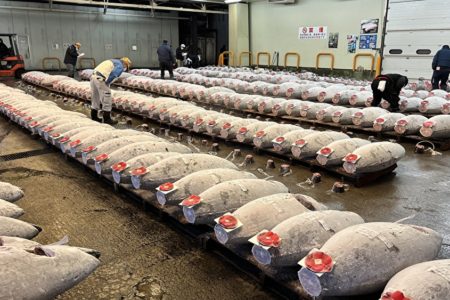 ちょっとずつの変化