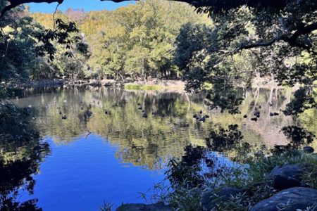 マスクを外した生活