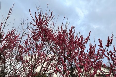 とことんこだわる