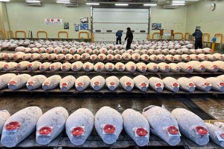 にゃんニャンにゃんの日