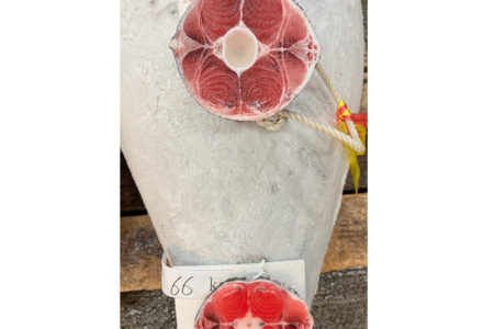 魚場の特色①インド洋