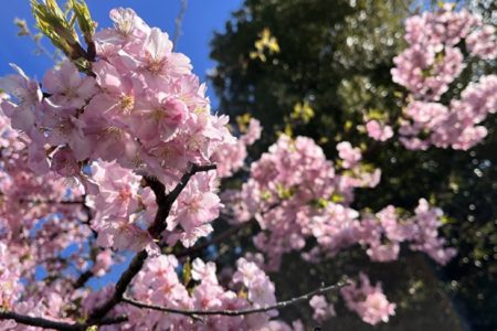 逃げる二月、去る三月