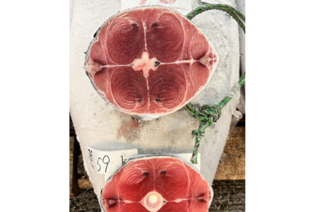 漁場別の特徴②大西洋