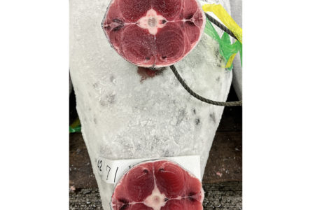 漁場別の特徴③太平洋