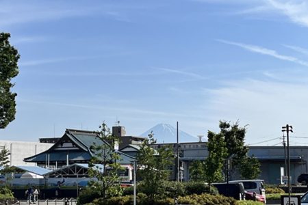 冷凍マグロの可能性