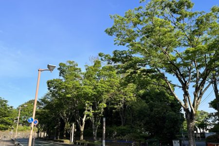 遂に新型コロナ5類移行へ