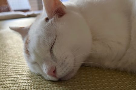 休み明けの注文