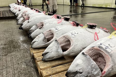 高い＝旨いとは限らない？