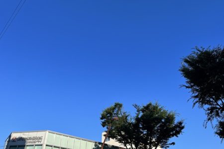 ほどほど＆蓄積