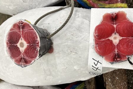 美容師さんとの会話