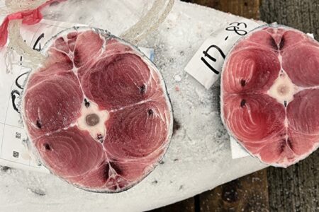 冷凍マグロの魅力を引き出す