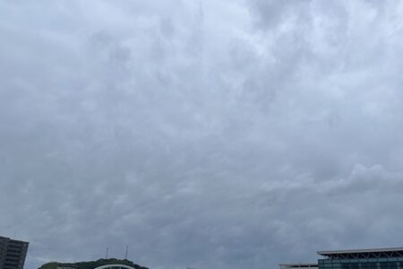 タコが和牛より高い