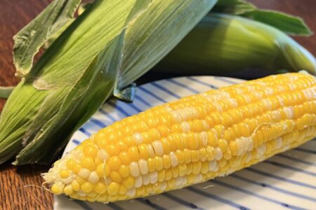 甘甘娘と梅雨入り