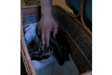 17回目の記念日