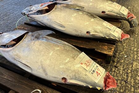 分かりにくい魚種毎の呼び名