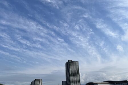 外食の一斉休業