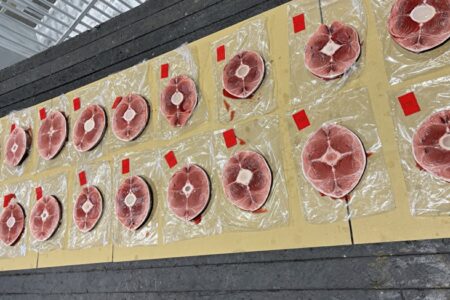 新たなるチャレンジ