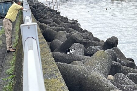 心当たりが無い