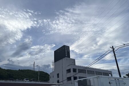 市場流通の今後