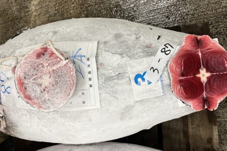 天然南鮪、加工しました！