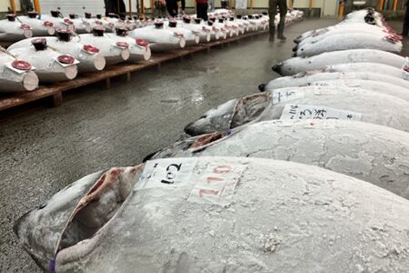 月初め＆今年最後の連休前