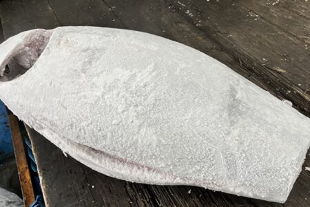 アイルランド天然本鮪仕入れました！