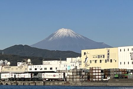 若人にケツを叩かれる