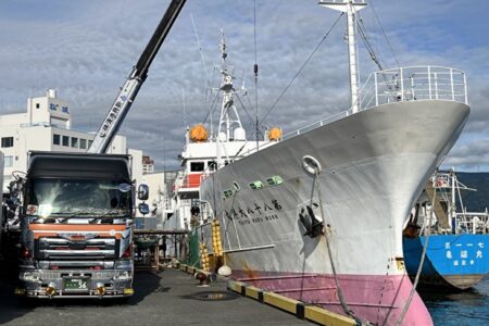 ミナミマグロ好き家族