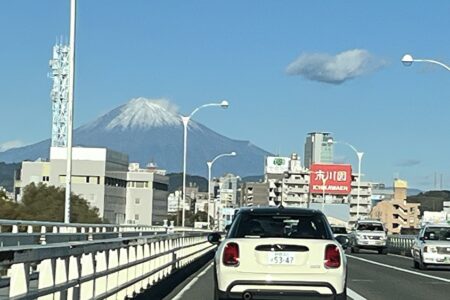 年内発送は22日注文迄となります